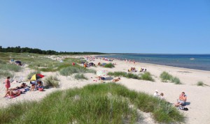 Böda strand